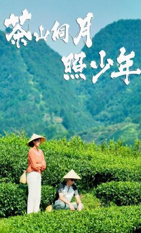短剧茶山侗月照少年海报