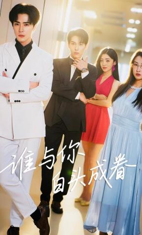 短剧《谁与你白头成眷》海报