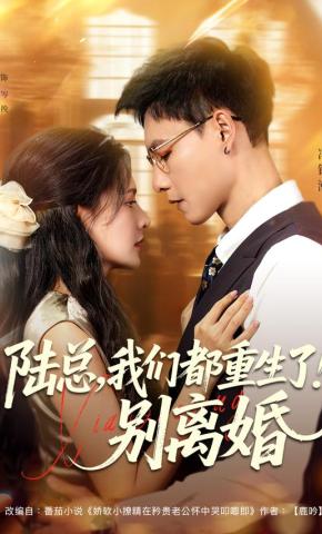 短剧《陆总，我们都重生了！别离婚》海报