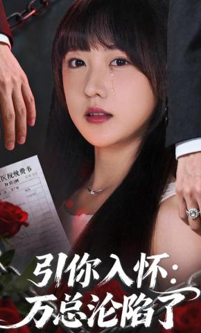 短剧《引你入怀：万总沦陷了》海报