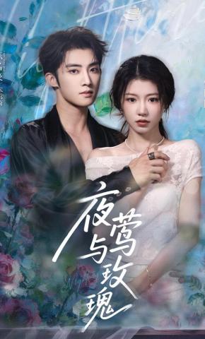 短剧《夜莺与玫瑰》海报