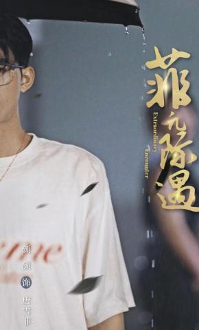 短剧菲凡际遇海报