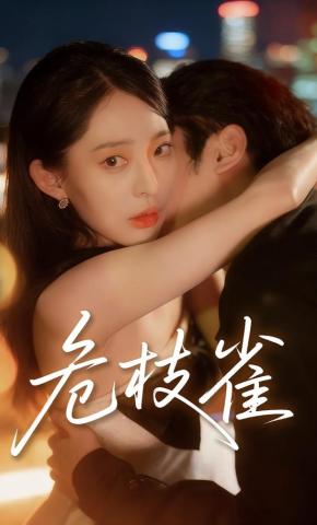 短剧危枝雀海报