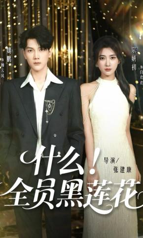 短剧《什么！全员黑莲花》海报