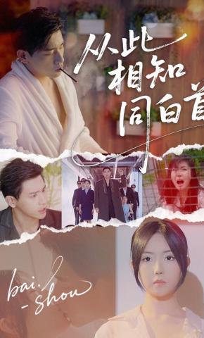 短剧《从此相知同白首》海报