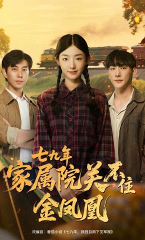 短剧《七九年，家属院关不住金凤凰》海报