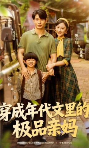 短剧《穿成年代文里的极品亲妈》海报