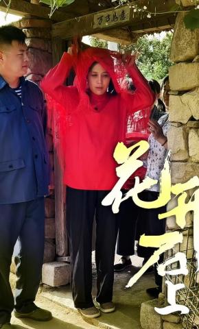 短剧花开石上海报