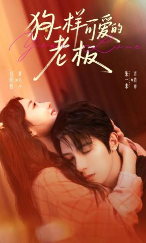 短剧《狗一样可爱的老板》海报