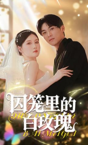 短剧《囚笼里的白玫瑰》海报