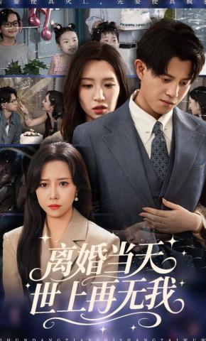 短剧《离婚当天，世上再无我》海报