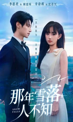 短剧《那年雪落人不知》海报