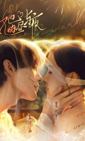 短剧《她的昼与夜》海报