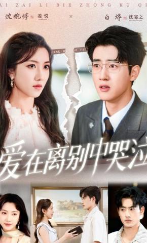 短剧《爱在离别中哭泣》海报