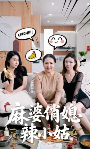 短剧《麻婆俏媳辣小姑》海报