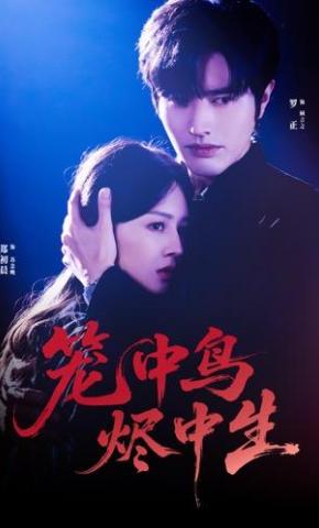 短剧《笼中鸟，烬中生》海报