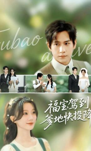 短剧福宝驾到爹地快投降海报