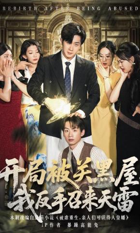 短剧《开局被关黑屋，我反手召来天雷》海报