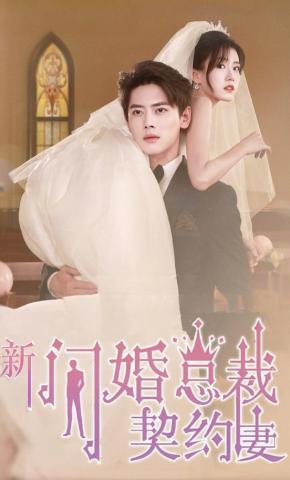 短剧《新闪婚总裁契约妻》海报