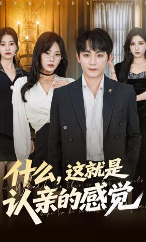 短剧《什么，这就是认亲的感觉》海报