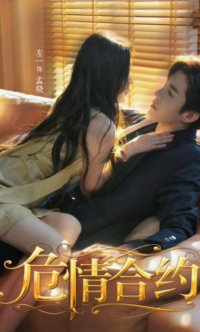 短剧《危情合约》海报