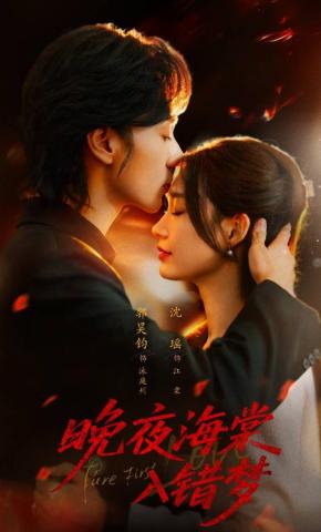 短剧《晚夜海棠入错梦》海报