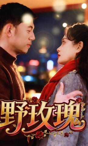 短剧野玫瑰海报