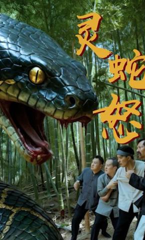 短剧《灵蛇怒》海报