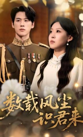 短剧《数载风尘识君来》海报