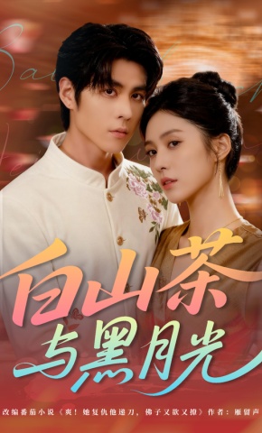 短剧《白山茶与黑月光》海报