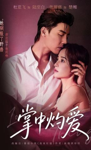 短剧《掌中灼爱》海报