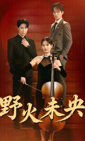 短剧《野火未央》海报