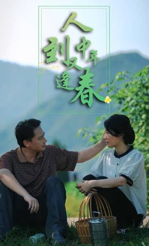 短剧《人到中年又逢春》海报