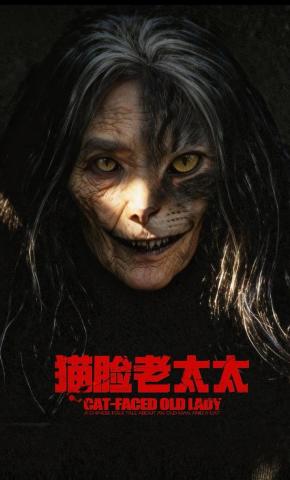 短剧猫脸老太太海报