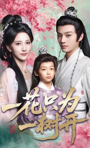 短剧《一花只为一树开》海报