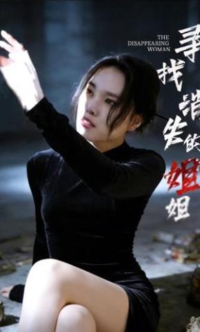 短剧寻找消失的姐姐海报