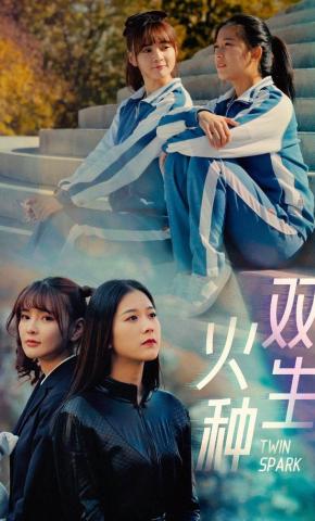 短剧双生火种海报