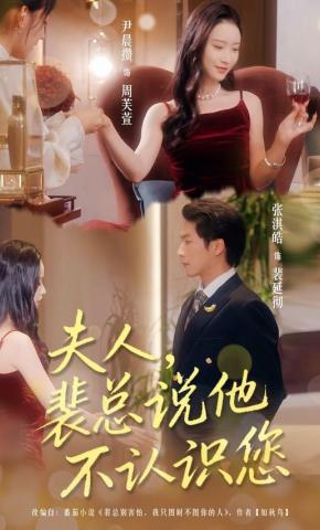 短剧《夫人，裴总说他不认识您》海报