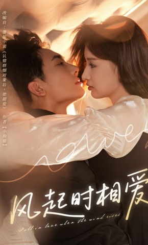 短剧《风起时相爱》海报