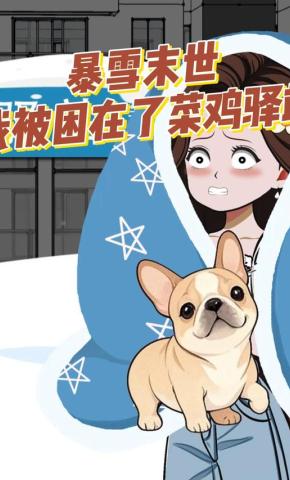 短剧《暴雪末世，我被困在了菜鸡驿站》海报