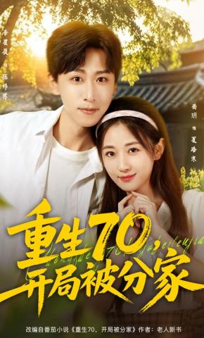 短剧《重生70，开局被分家》海报