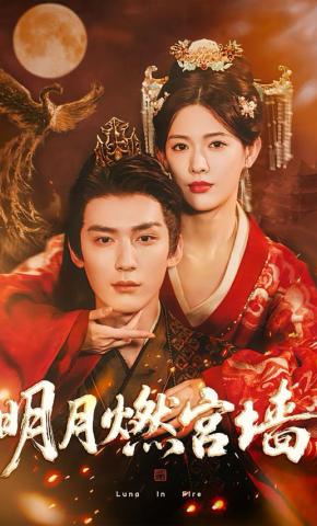 短剧《明月燃宫墙》海报