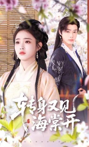 短剧《转身又见海棠开》海报