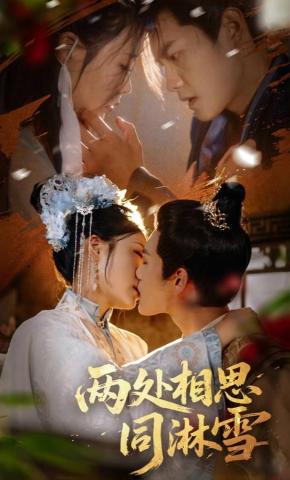 短剧《两处相思同淋雪》海报