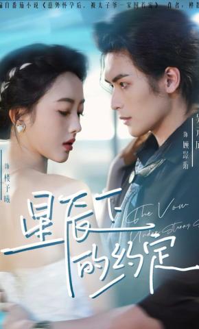 短剧《星辰下的约定》海报