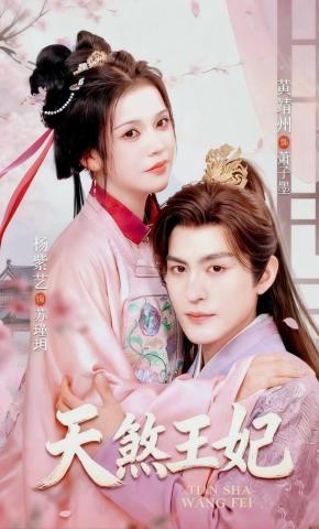 短剧天煞王妃海报