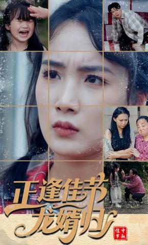 短剧《正逢佳节龙婿归》海报