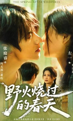 短剧《野火烧过的春天》海报