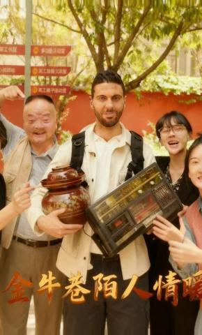 短剧金牛巷陌人情暖海报