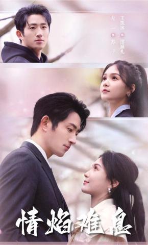 短剧《情焰难息》海报